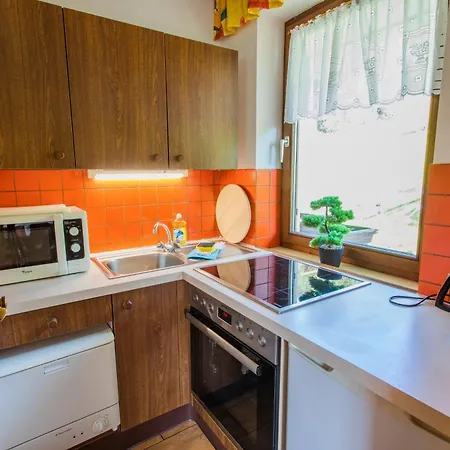 Huberhof 4 By Alpenidyll Apartment Schladming